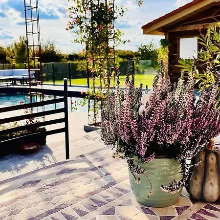 Les Sources D'hon - Gîte&espace Wellness Hébergement de vacances