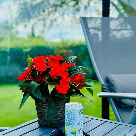 Les Sources D'hon - Gîte&espace Wellness Hon-Hergies